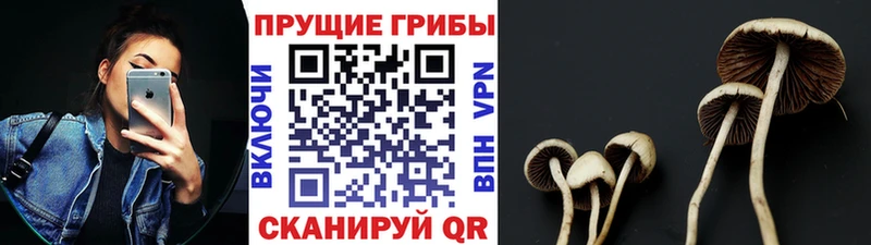 ОМГ ОМГ как зайти  Петров Вал  Галлюциногенные грибы ЛСД 